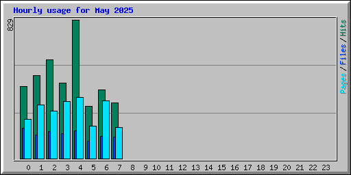 Hourly usage for May 2025